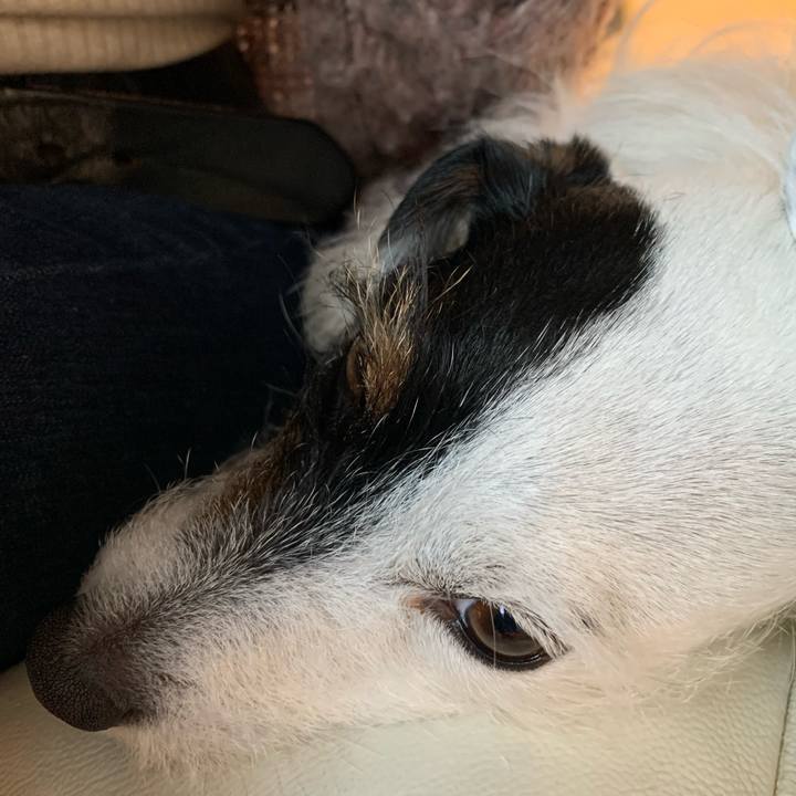 306fdffd 860a 4dc1 bf0a fc2d96cfb20b 1613359056676