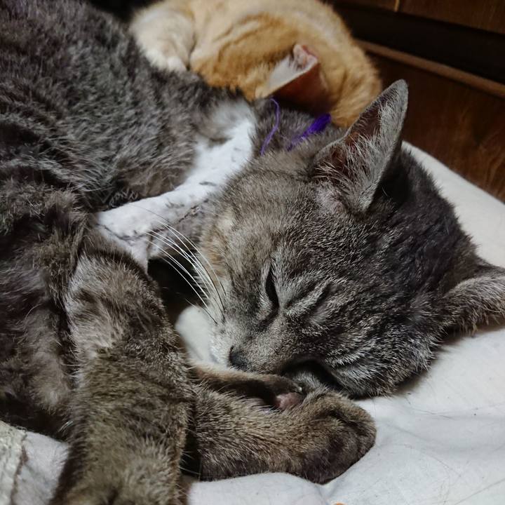 306ff7d9 82a7 4992 b7c0 c005ce676e3e 1588423642362