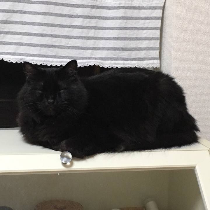 30702f1f f6c7 4ce7 bc38 555789f305e6 1530715710311