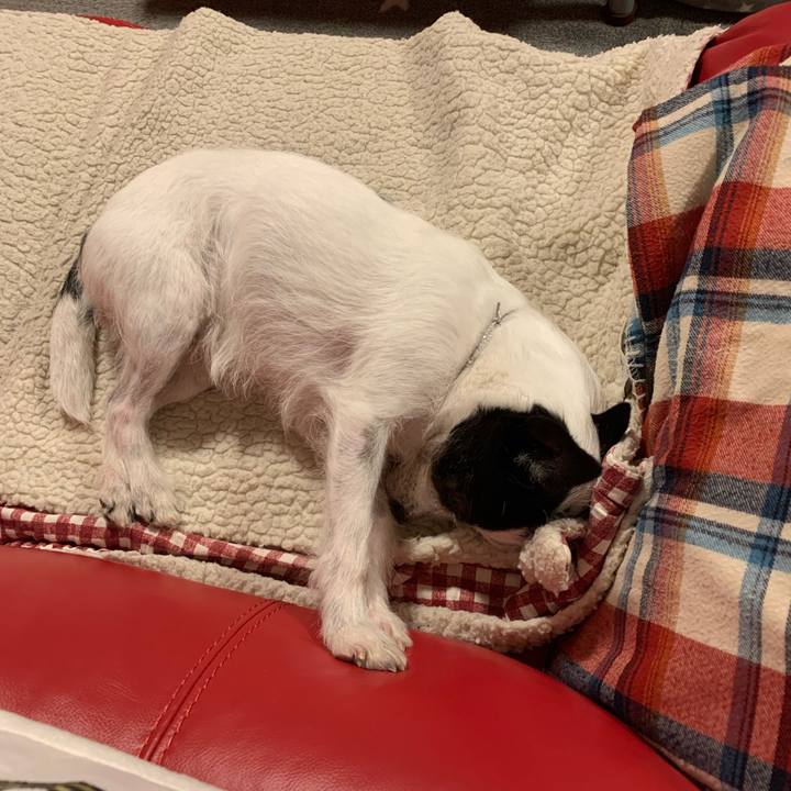 307032a5 9a15 4d81 9a4f 2fbdcf3ad154 1608644619466