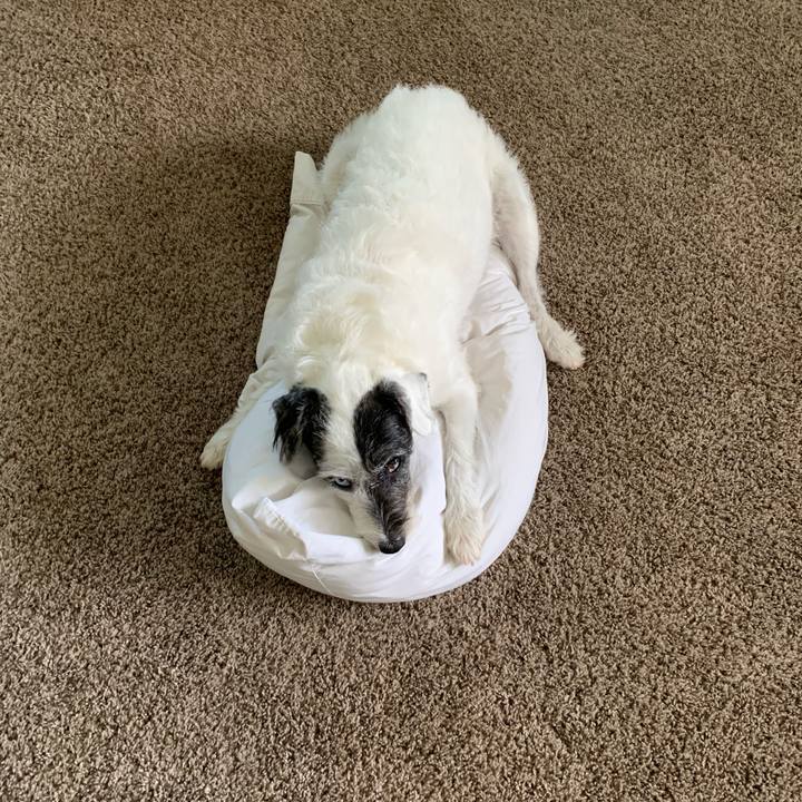 307044cc 4865 4390 8e9f 0906676be322 1595887298725