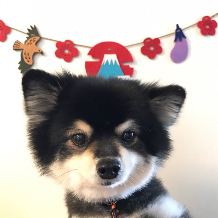 307054b6 fe94 4e58 9a26 e2a8f7c1c1d0 1546529926968