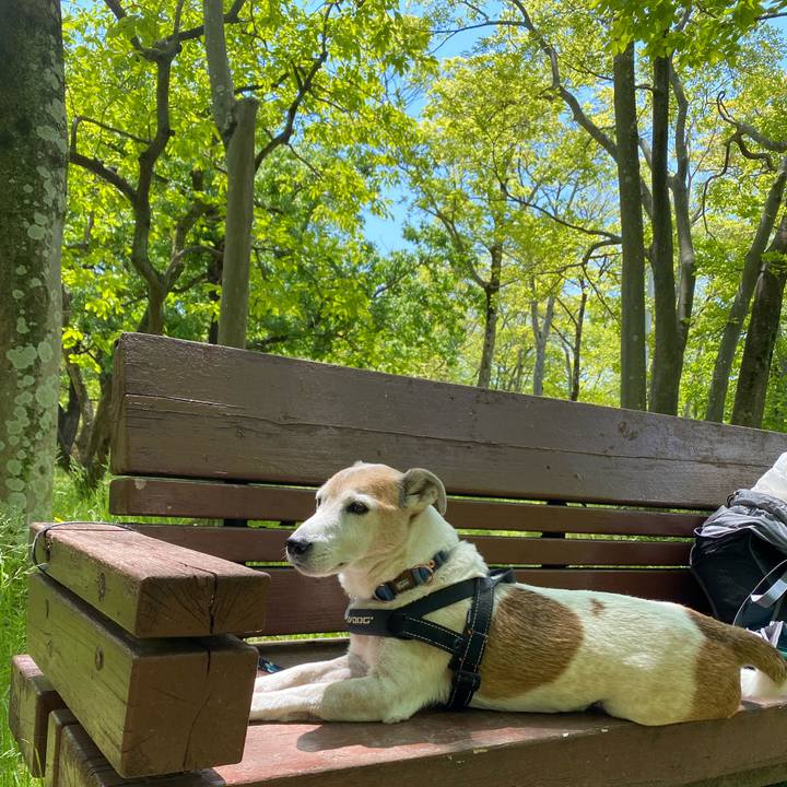 307072c4 06cc 43e3 8c32 bd38aac0ec31 1620038985447