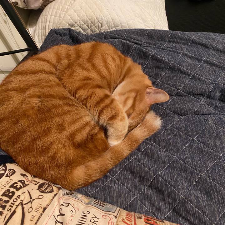 30709617 dbd8 4578 990f ea7efad42747 1586539714752