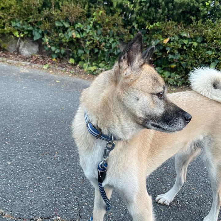 3070c639 ff3a 48be a345 ba29dcccccd9 1668513653751