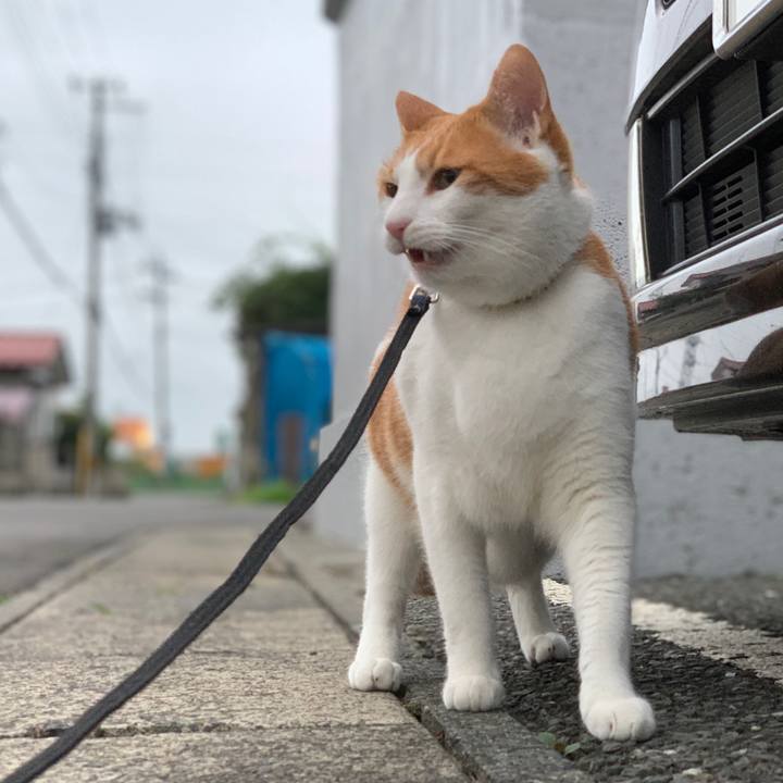 3070e88c 1ff1 4d14 b26c 3ee7a4e2e73b 1595243914652