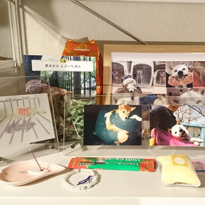 3070f65d 7c3c 4eca b522 f1294bb08b4d 1553169283849