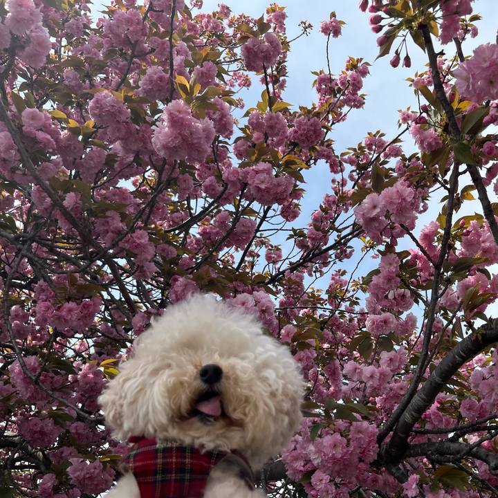 3070fb74 fb0f 412f 942b 5ad5c2897b06 1776067138690