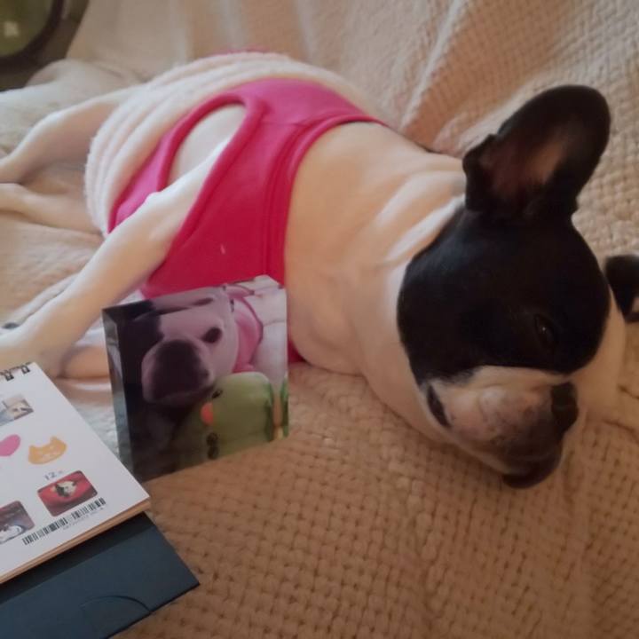 30713f1d c46b 499c be9e b3efd95ea1c9 1575179559369