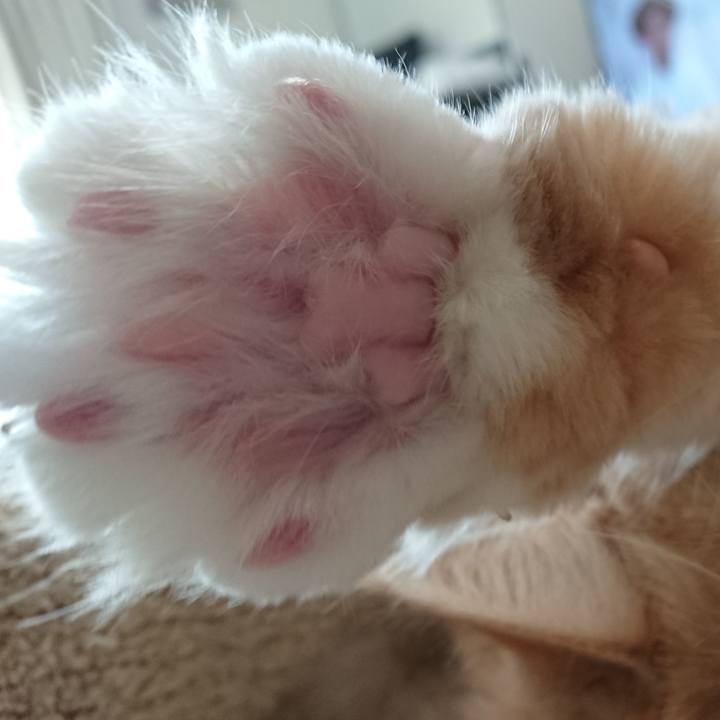 307199f5 a1e9 4586 ac57 5d4b7bc33eed 1551929036938