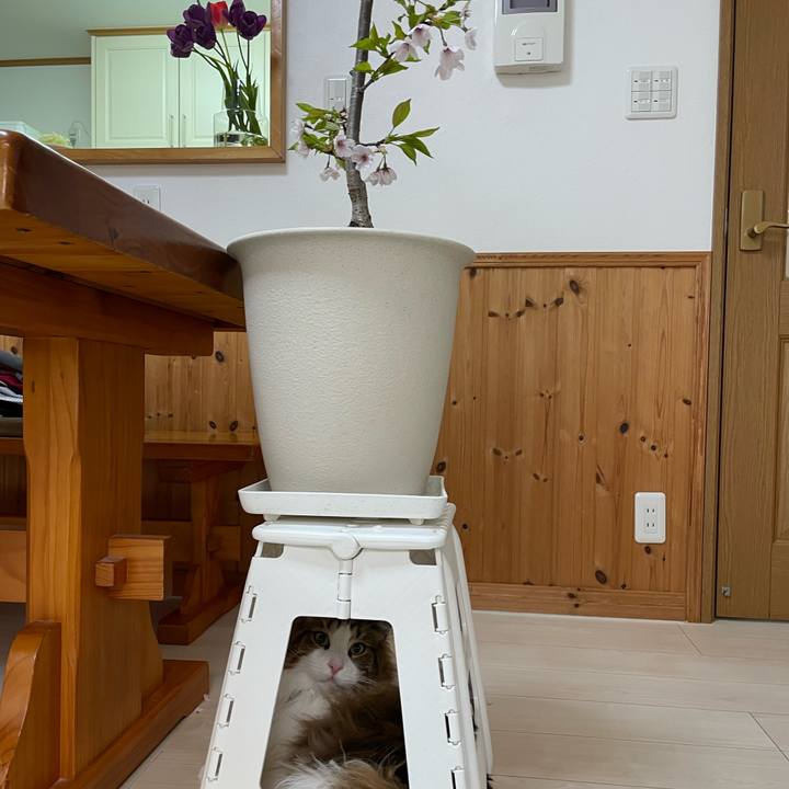 30719d26 9af8 4aca be33 e7575194d405 1682283046746