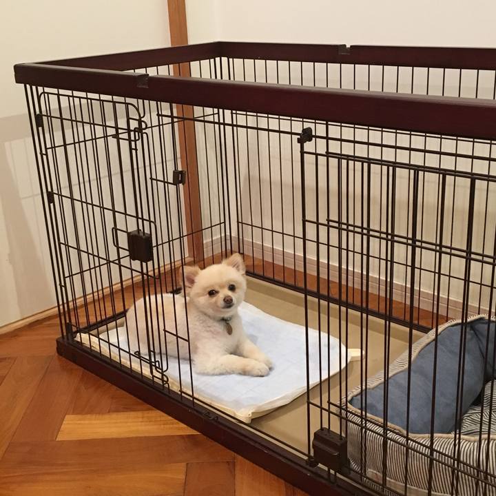 3071a911 8618 4789 9505 7404c32c7023 1561817097073