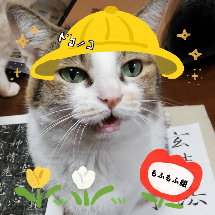 3071d56c d784 416c 96fd 3d159f0b5ee3 1712398916969