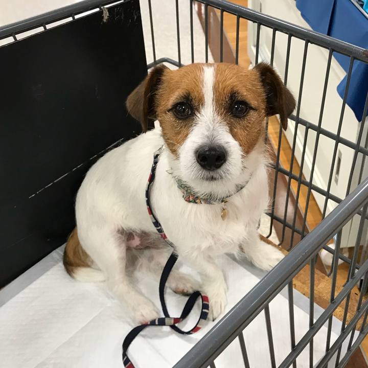 3071f86a b604 4b02 8cb8 4b8f6066f9ca 1510924246724