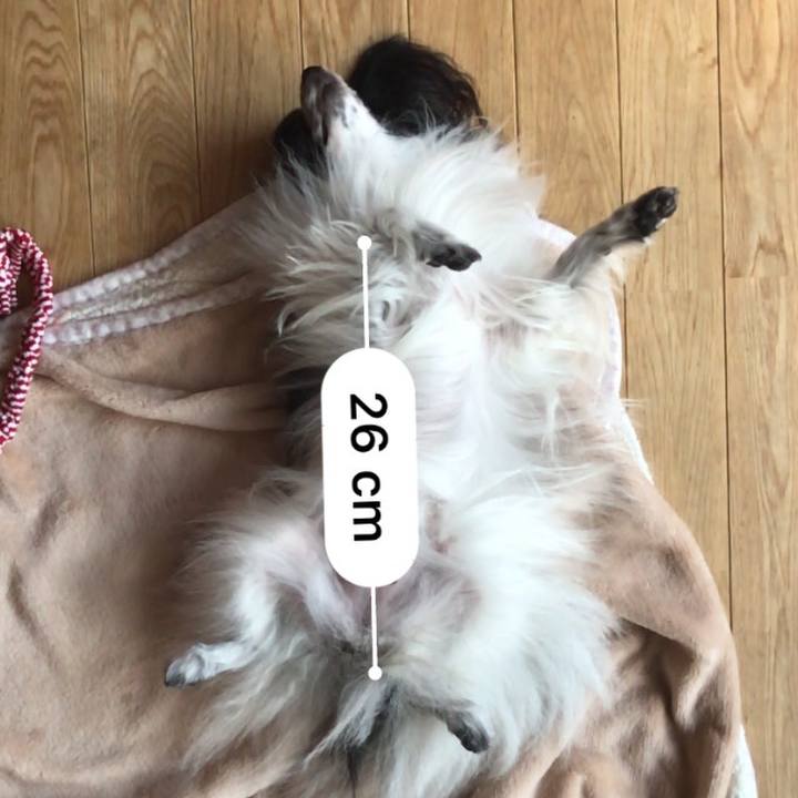 30720972 c2cf 432d 9dfe 46abf2e3723f 1538899531706