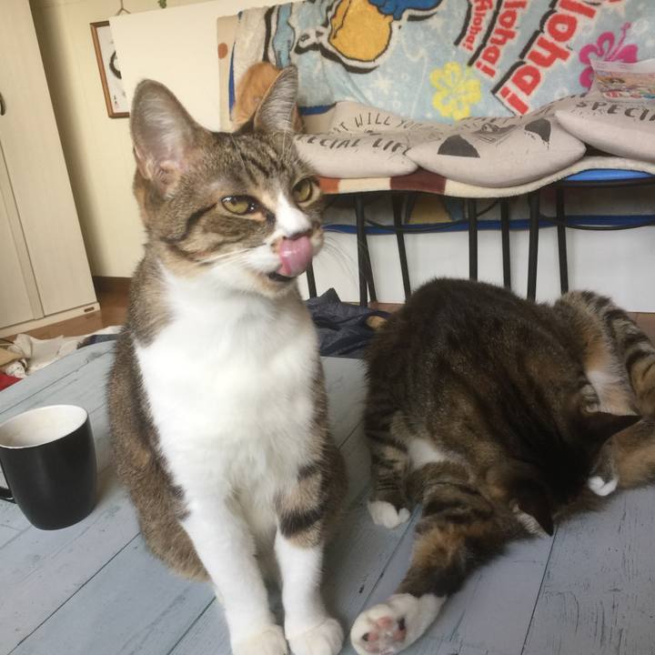 30725706 52da 4139 b72f c50364db8502 1572560635792