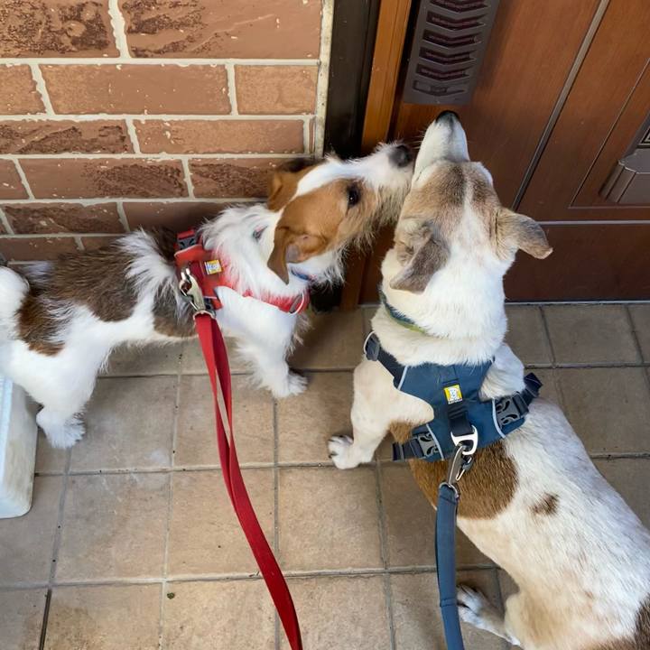 30725a44 4fe3 4504 ba0c d4ad5fd9e3ac 1678489201251