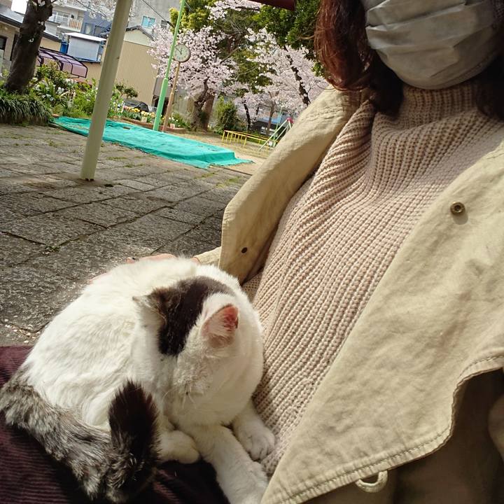 30725b92 5087 4ab2 a4f0 701b4fd6261e 1648895002146