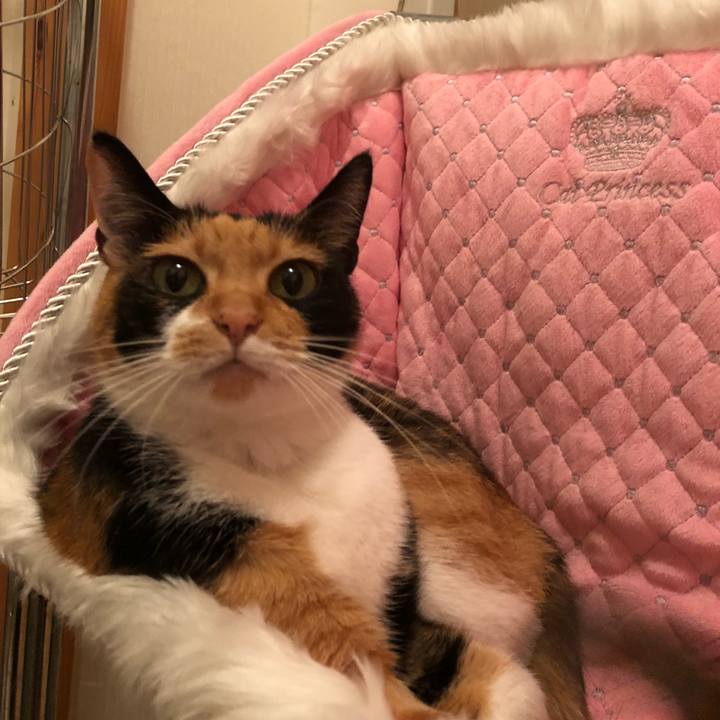 307284b1 eb24 4dfb be69 8f86cbd90ffe 1537607538090