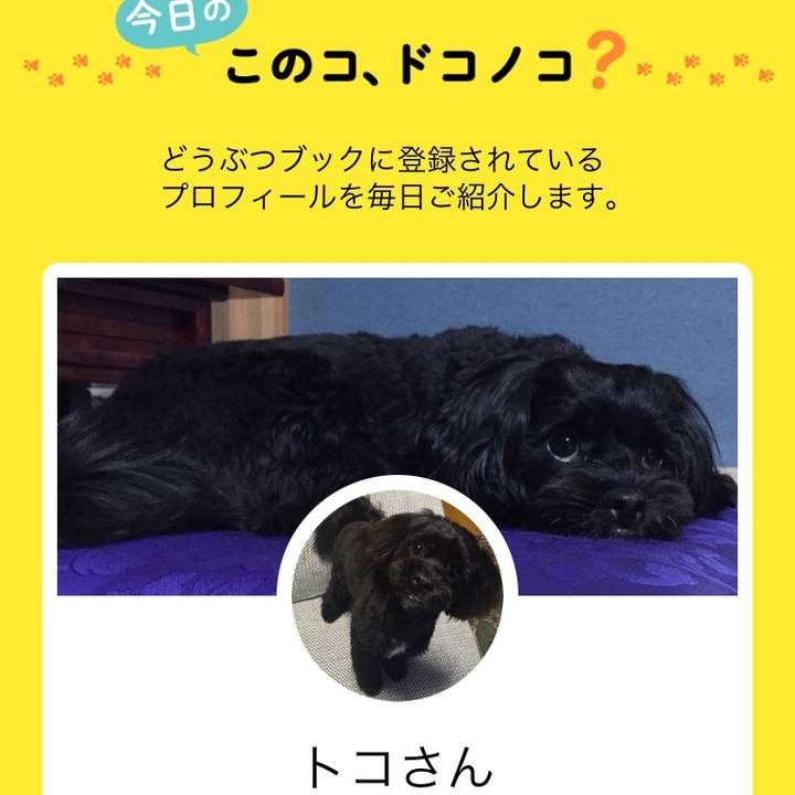 307288f3 31f7 4322 85ff e3caf309fd07 1545790247054