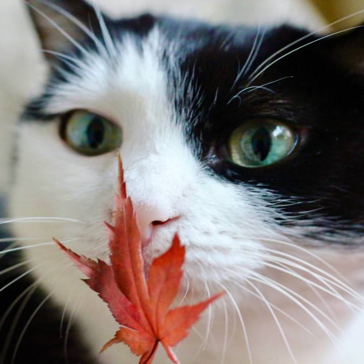 3072acd0 9500 48fb 8d12 878ff70ef1df 1670195210676