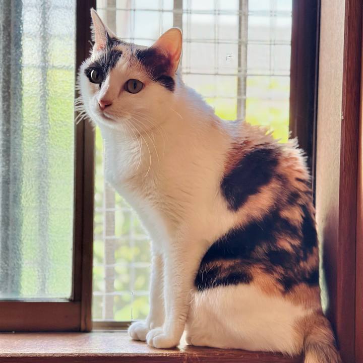 3072db32 42f6 42c4 af45 5186f08c3855 1718329919756