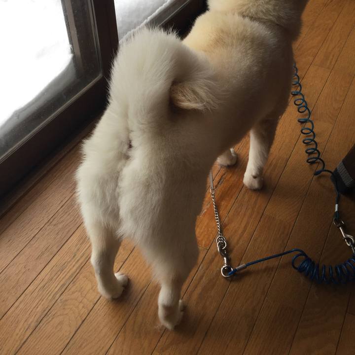 3072dbb6 04be 47a0 bca1 d1d559a53a8f 1546041706120