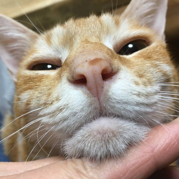 3072e11e d8cc 4662 9fa3 27750cc71f00 1522064952361