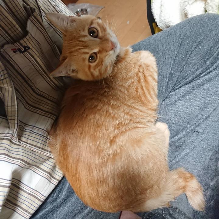 3072ed52 6348 4437 8814 0ab323a88c45 1635281916275