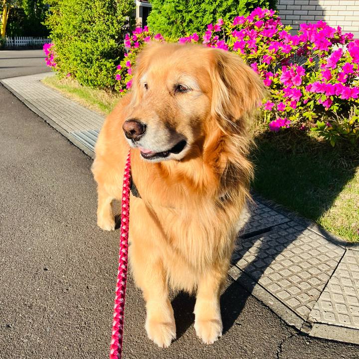 30730258 3f64 402d b030 cae0784ae4e0 1715761004588