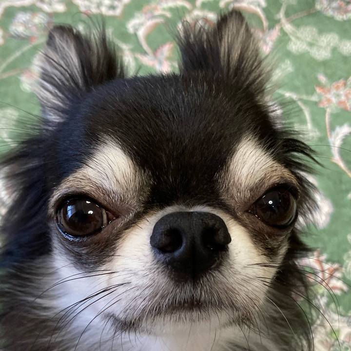 30730c4b cdc6 423a 93e6 d4fec608a5bc 1667084791765