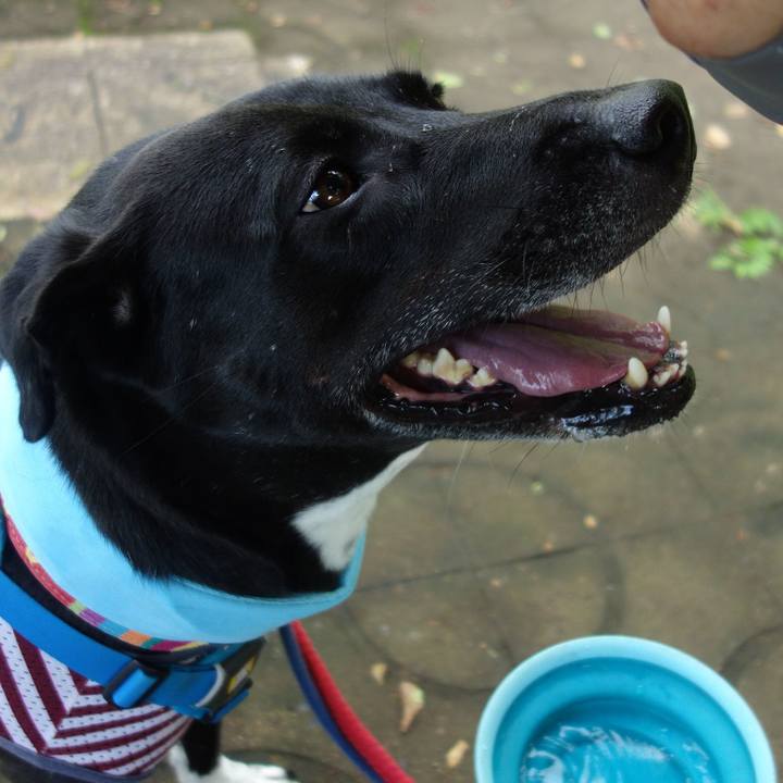 30735658 0ee7 4835 b830 b5ec17951bc4 1629246875567