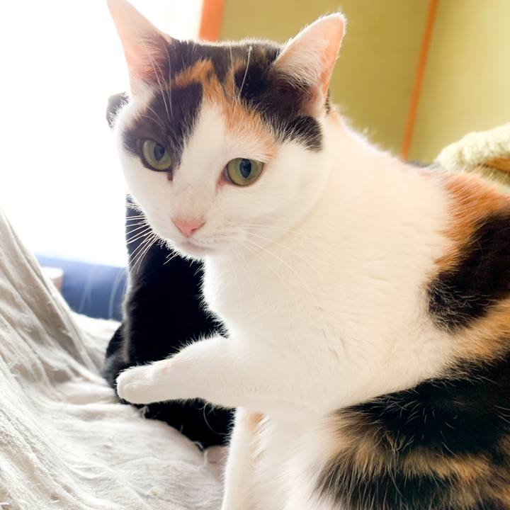 3073599a 3aa5 4a38 8385 d776f7ee4653 1584583718460