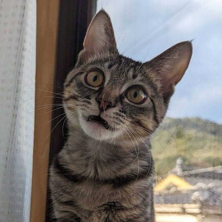 30735a8f d07d 4940 95db 73e2f9428d71 1705550744599