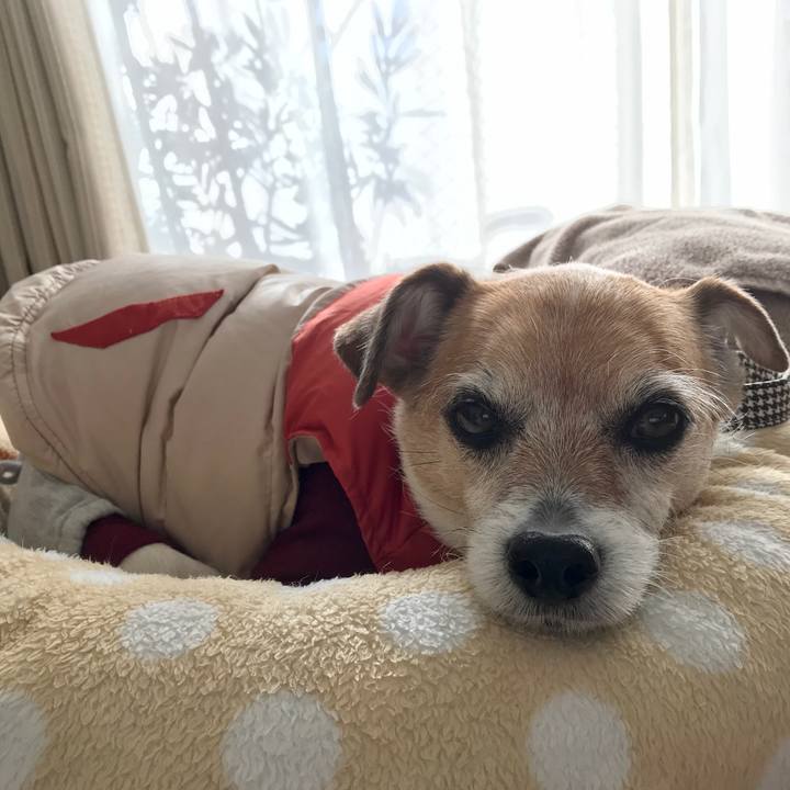 30735cee be82 40b9 9e94 2c4b6704c316 1610176803251