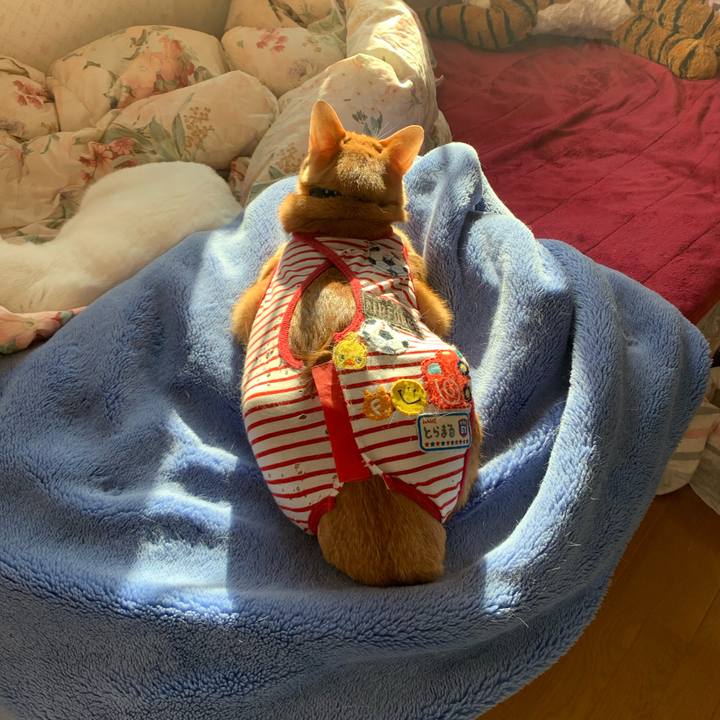 307387e8 f01d 4b4e 8380 bcace3b7b379 1582416728523