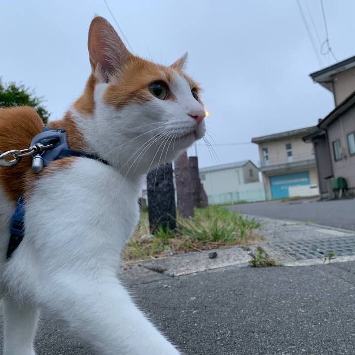 307392d9 72fd 45fc 9d09 8ab77fd02dc9 1565639874946