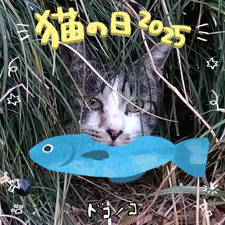 30739924 d272 408f 8db1 a05c2da3afca 1740174760882