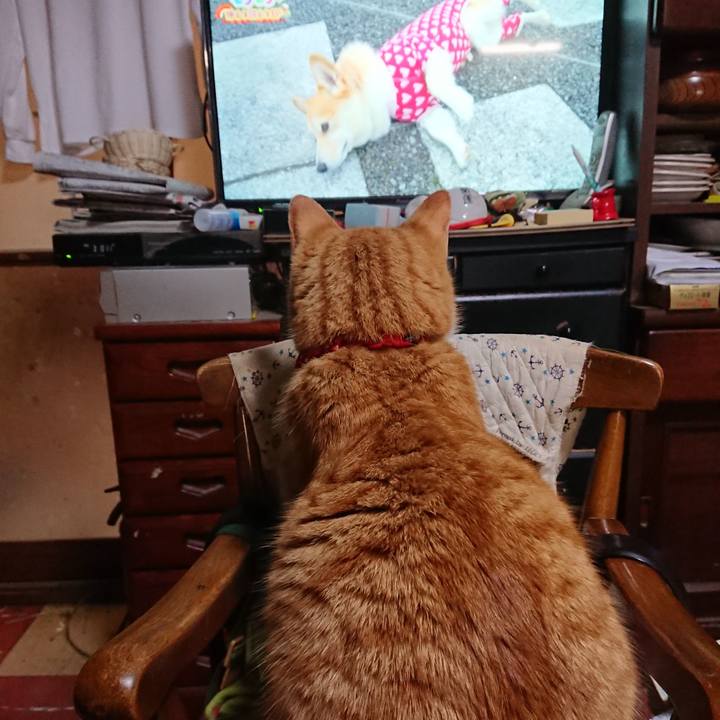 3073c122 74d0 40d1 9bae da8003f7ef5b 1577870975889