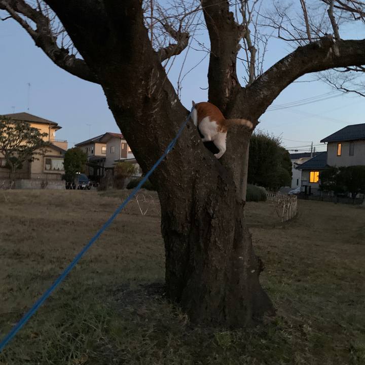 3073c4ef 83b3 41cc 9f1f 05dfb4960760 1577178979123