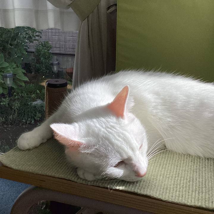 3074001d 209a 43bb b4df 0aaecf44666b 1760691672516