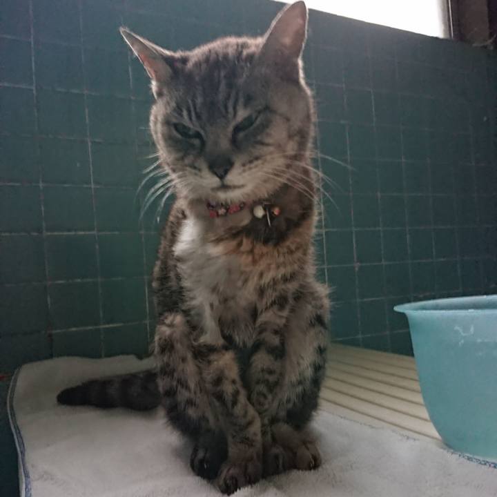 30743507 3983 49fb 9f1e 8ecc7bbe05ab 1594027921012