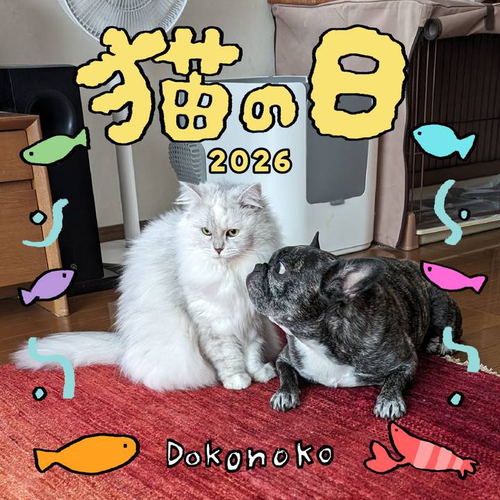 307437e6 3705 4194 b726 e6ecc2204cb3 1771693542838