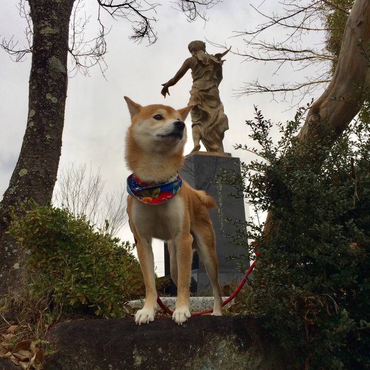 307442c5 9da8 48f8 900b 07ddfb2f7dc1 1512373409741