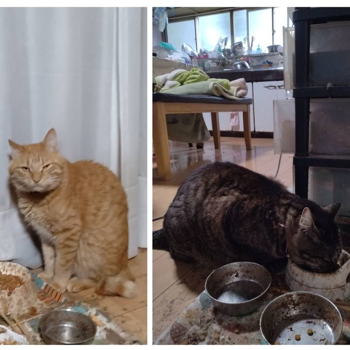 30744c68 f361 4f6f be76 4008dd1ab3b2 1717711826713