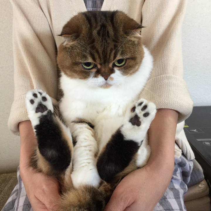 3074a904 0d6b 40c3 aaac 356442a8b046 1509854218191