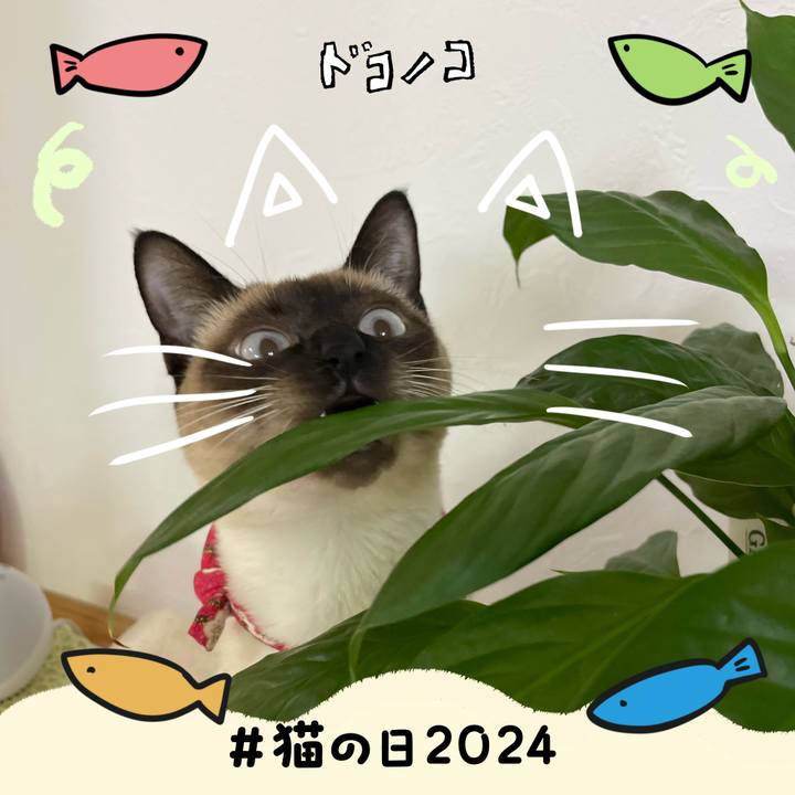 3074c3bd 70ec 4854 b6c9 f29a8f67376d 1708560270962