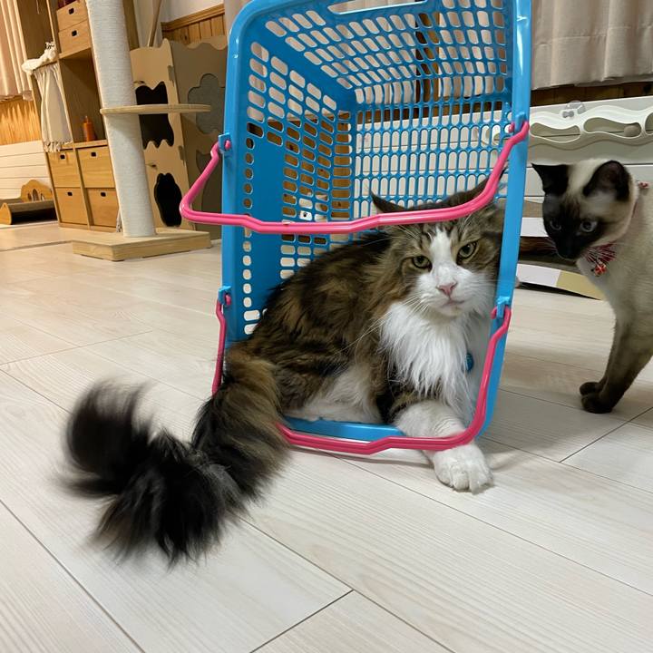 3074e7e2 b3eb 4b19 b54f 62a11744426d 1707772905297