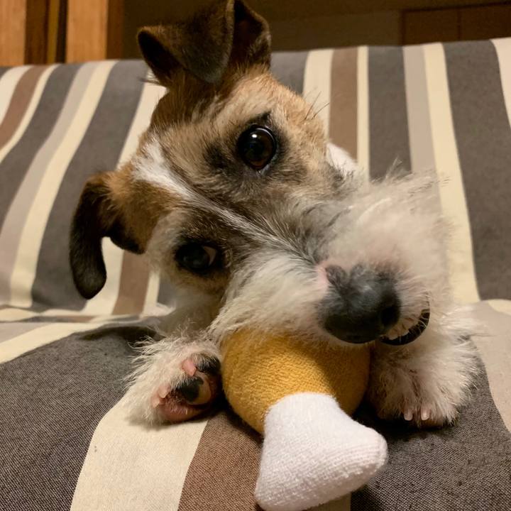 3074ec87 c9de 4e25 af51 244b2de5301b 1582376478301