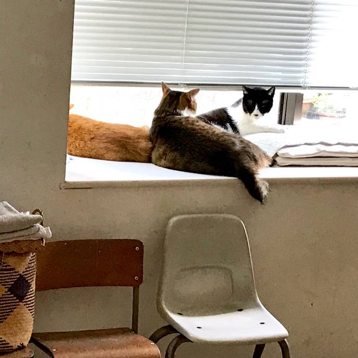 3074fb41 5ab5 4919 b7c1 1e80dff45a95 1535006237985